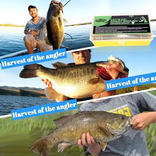Ultimate 322-Piece Bass Fishing Lures Kit & Tackle